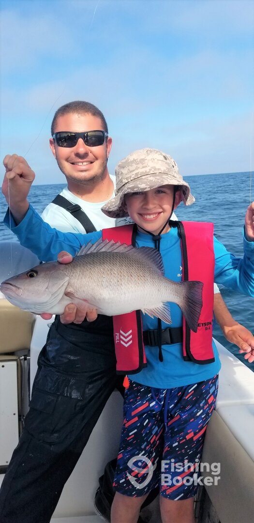 Mangrove Snapper