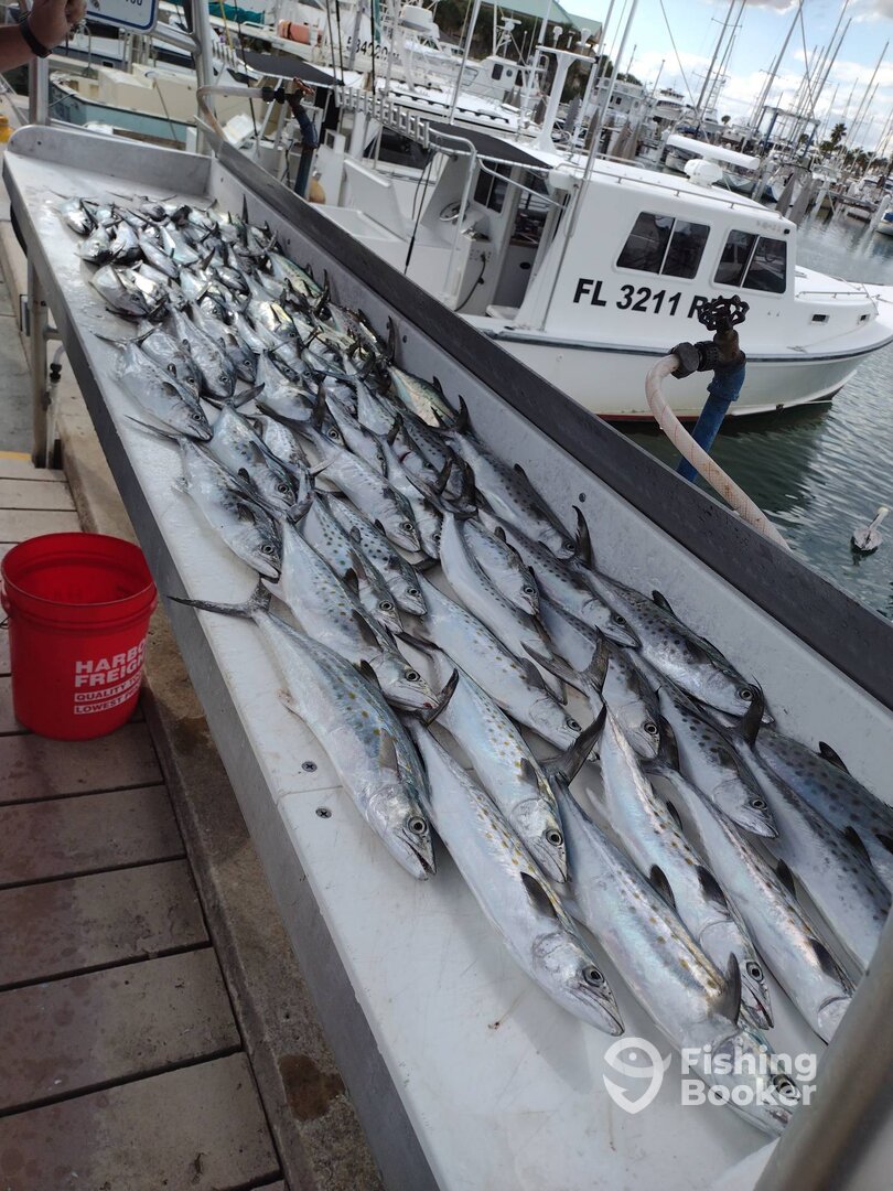 Port Canaveral Report Photo 0