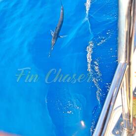 Cabo San Lucas Report Photo 2