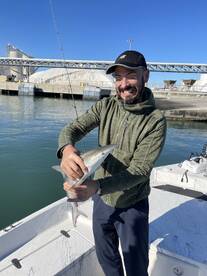 Sharks,trout,sheephead and lots more