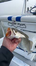 Winter Fishing Trips