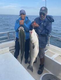 Montauk Report Photo 2