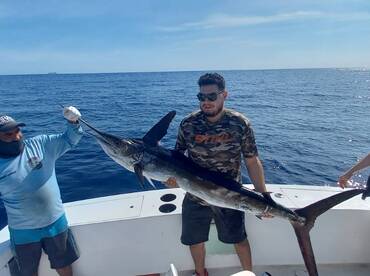 Cabo San Lucas Report Photo 2