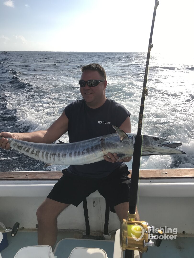 Dominicus Report Photo 0