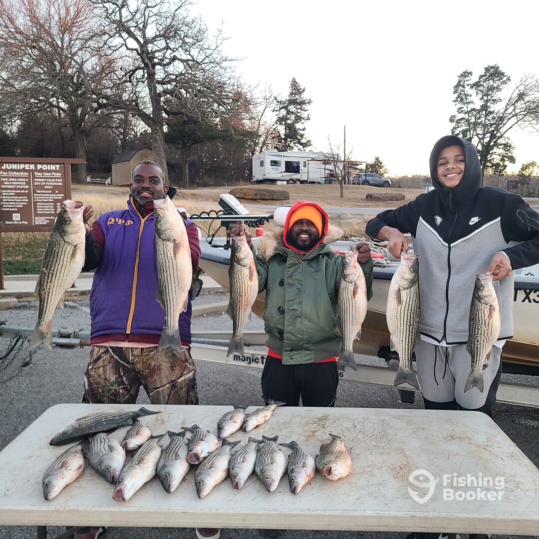 Little Elm Report Photo 0