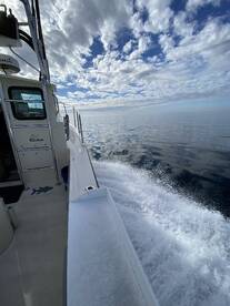 AF Sportfishing Welcomes You To The New 