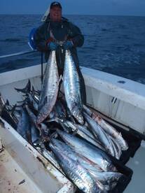 Hatteras Report Photo 2
