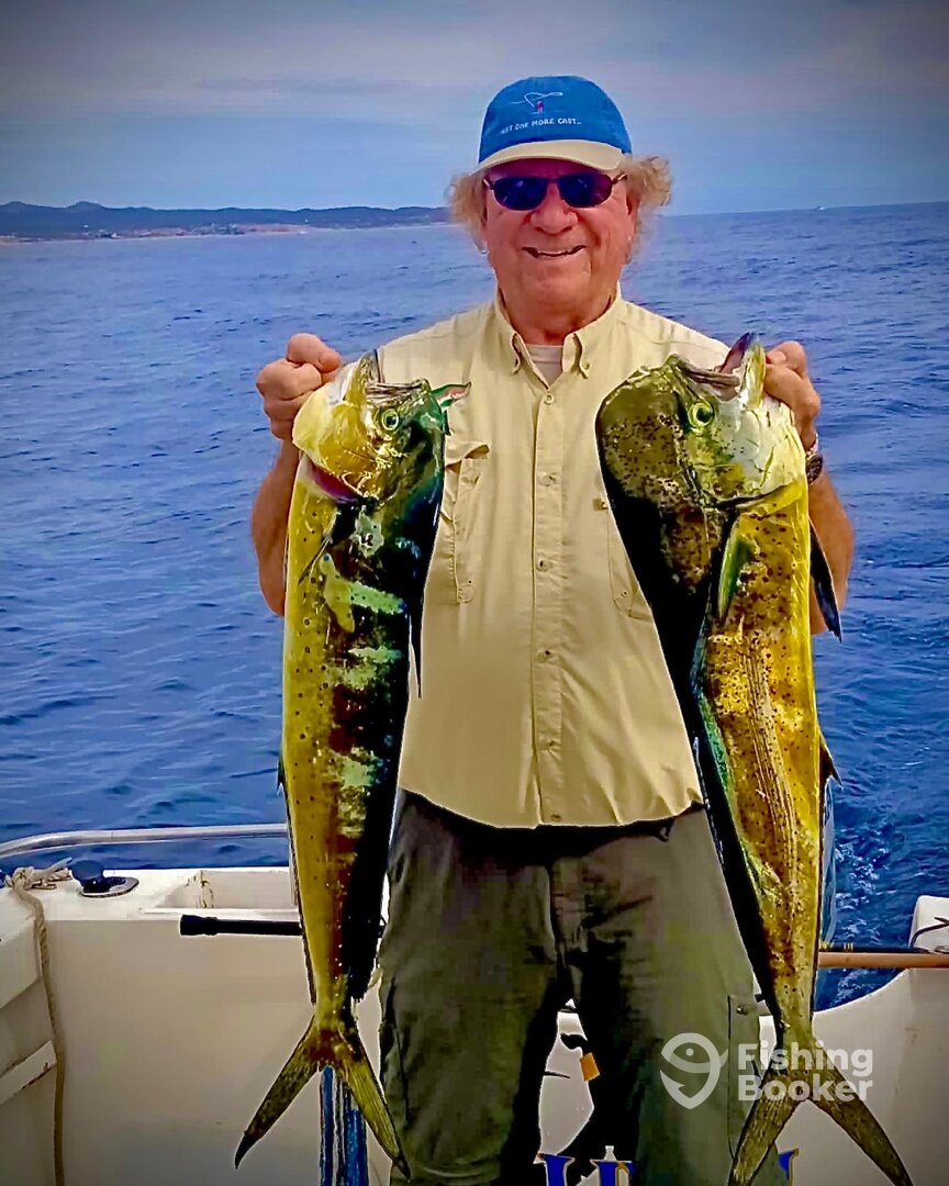 San Jose del Cabo Report Photo 0