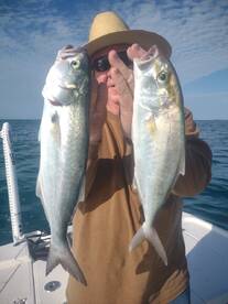 Yankeetown Report Photo 2