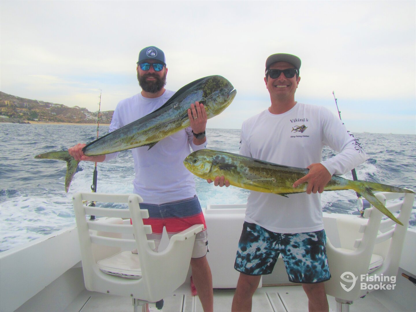 Cabo San Lucas Report Photo 0
