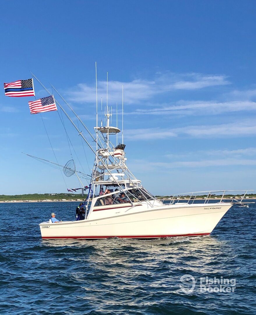 Montauk Report Photo 0