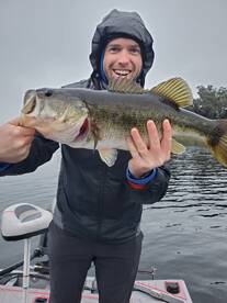 Orlando Report Photo 1