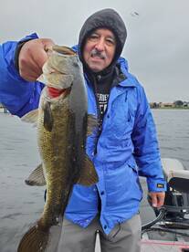 Orlando Report Photo 2