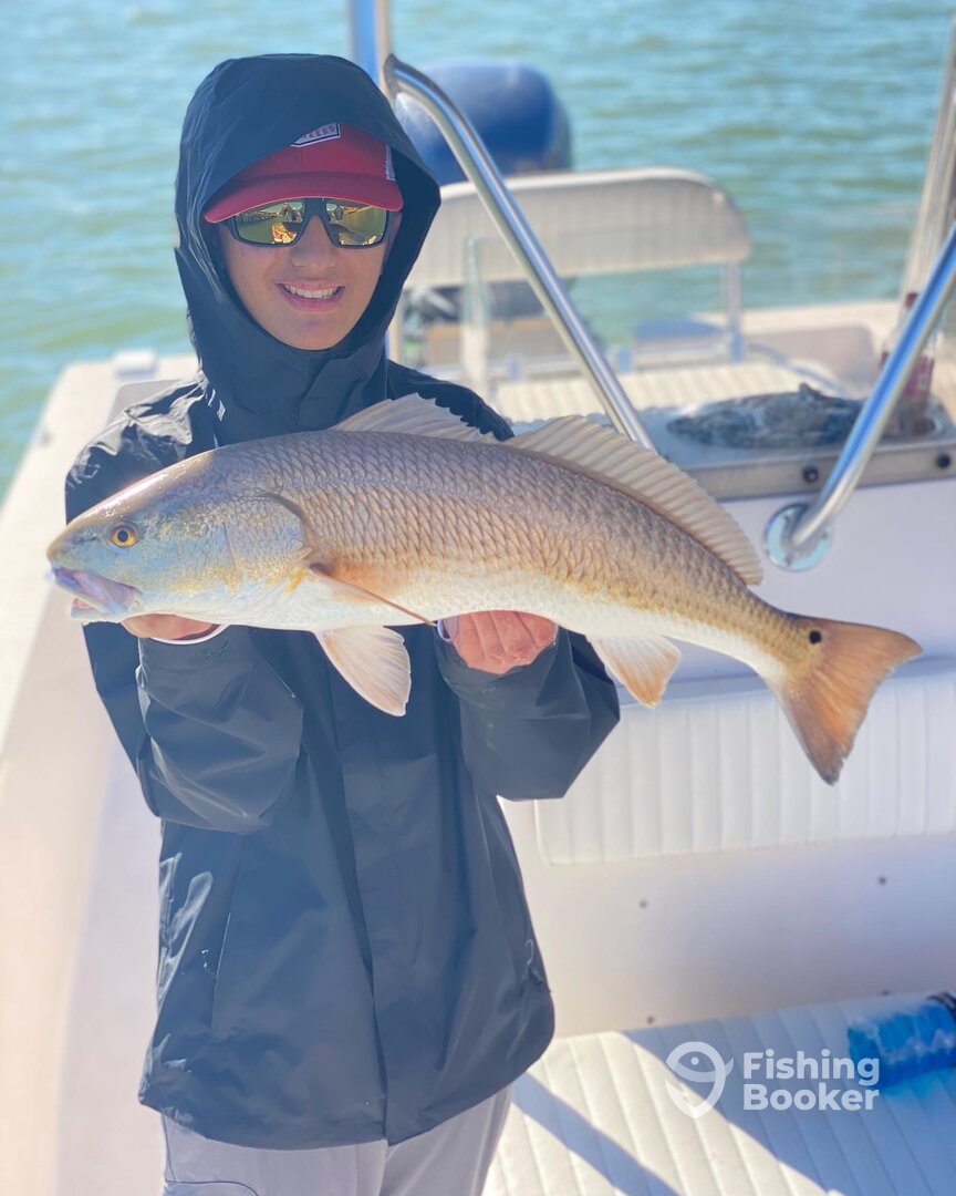 Clearwater Report Photo 0