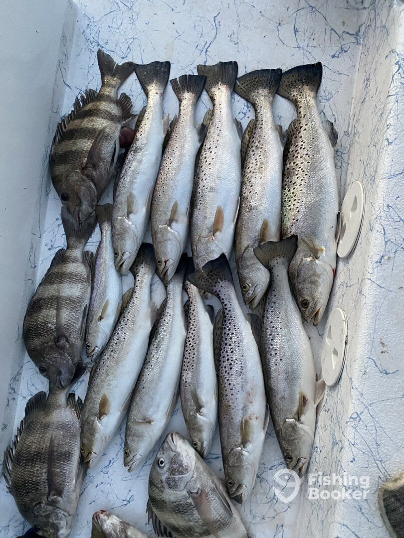 Port Aransas Report Photo 0