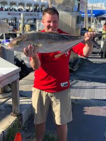 Dania Beach Report Photo 1