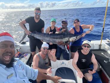 Sailfish and a marlin