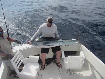 Cabo San Lucas Report Photo 1