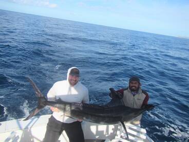 Cabo San Lucas Report Photo 2