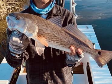 Folly Beach Report Photo 2