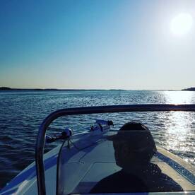 Spotted sea trout,  and reds aka reddrum