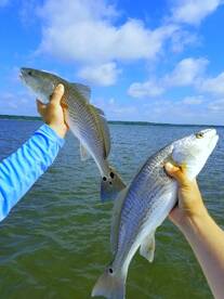 Charleston Report Photo 1