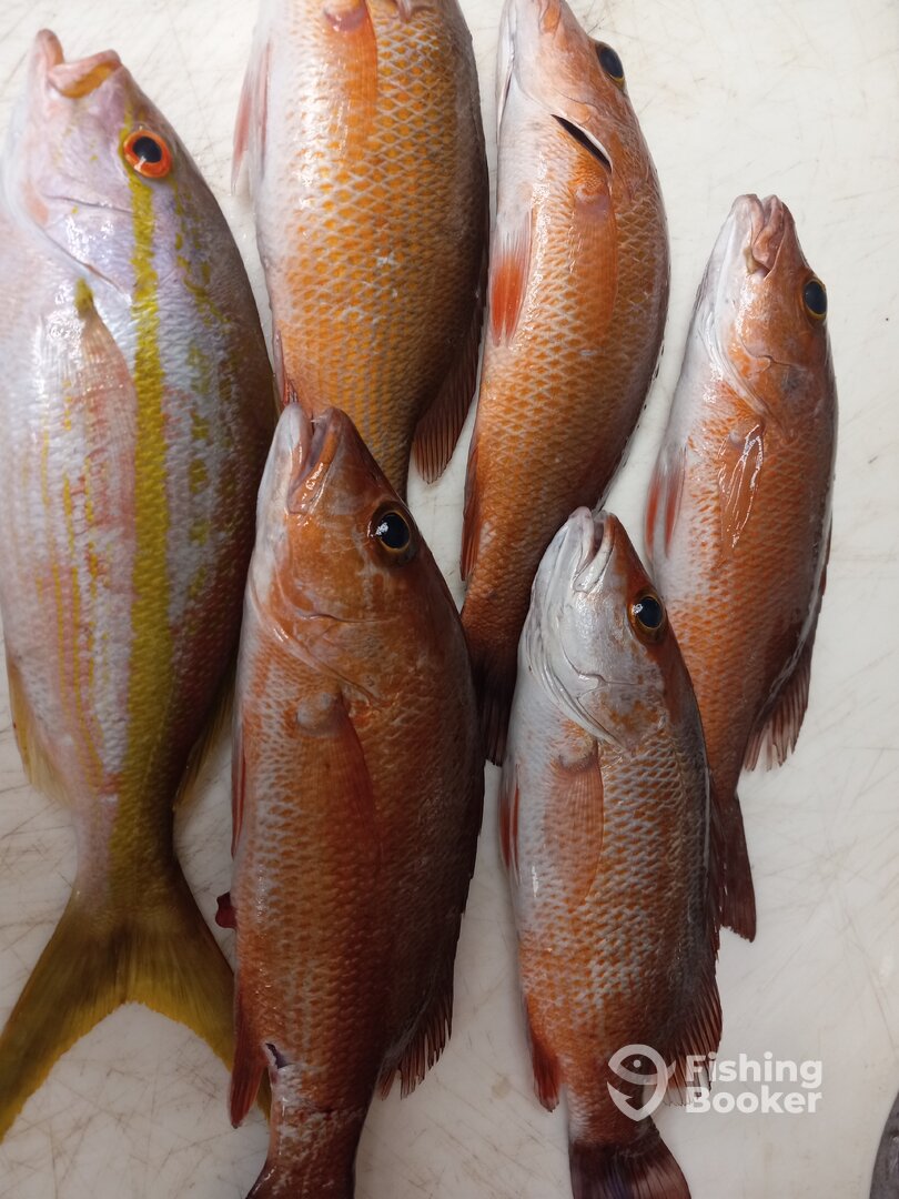 Key Largo Report Photo 0