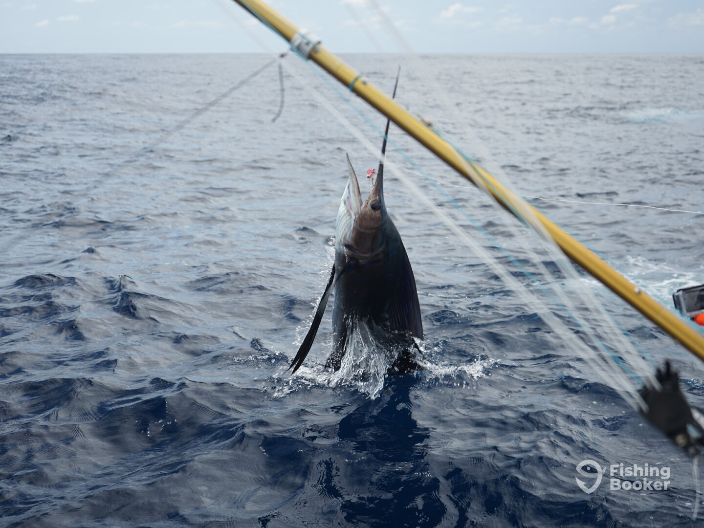 Herradura Report Photo 0