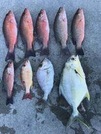 Islamorada Report Photo 2