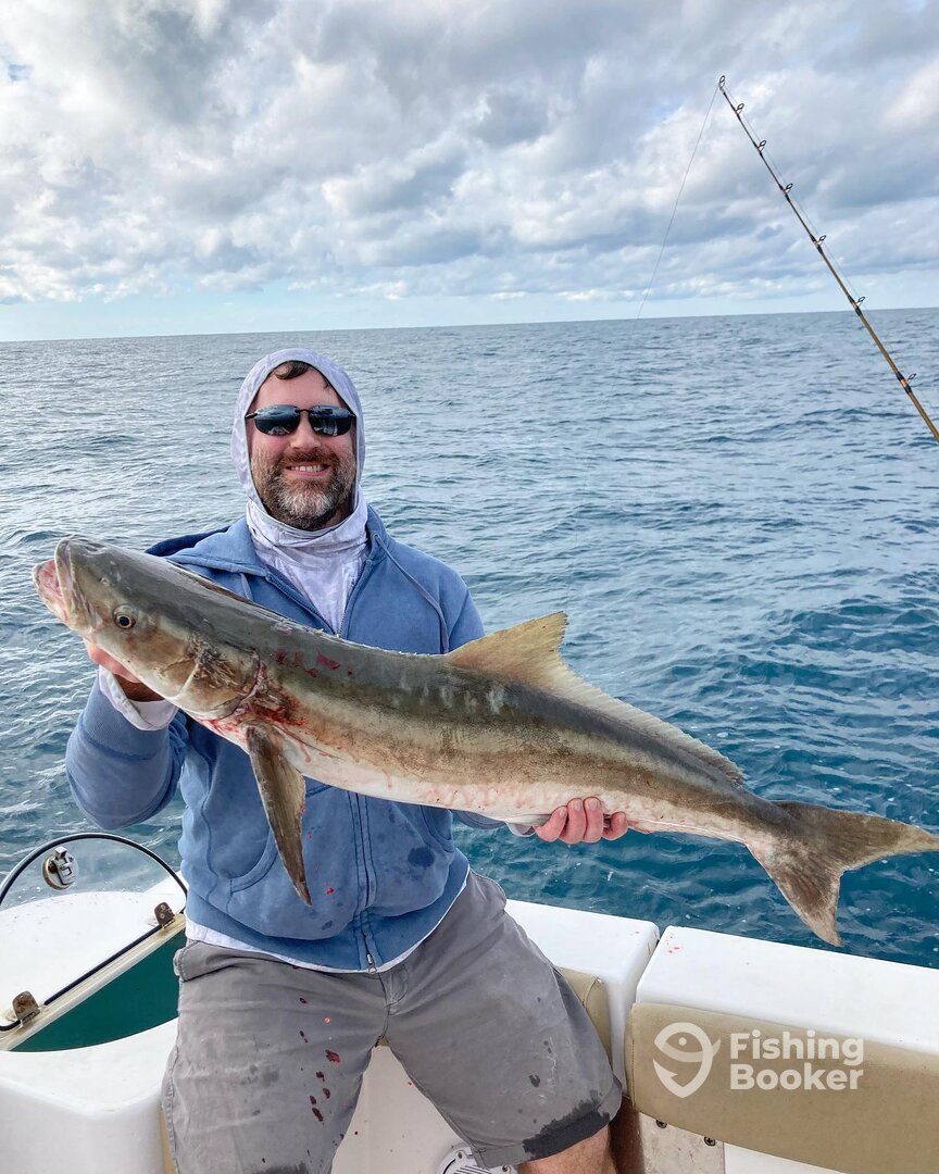 Cobia