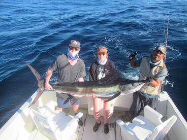Cabo San Lucas Report Photo 1