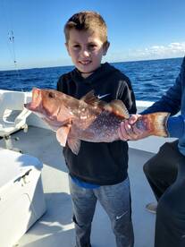 Dania Beach Report Photo 2