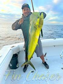 Feeding frenzy brought in a 37lb Mahi! W