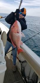 Destin Report Photo 1