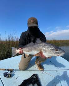 Hilton Head Island Report Photo 2