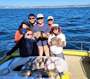 Pulling  the Trigger....Fish!