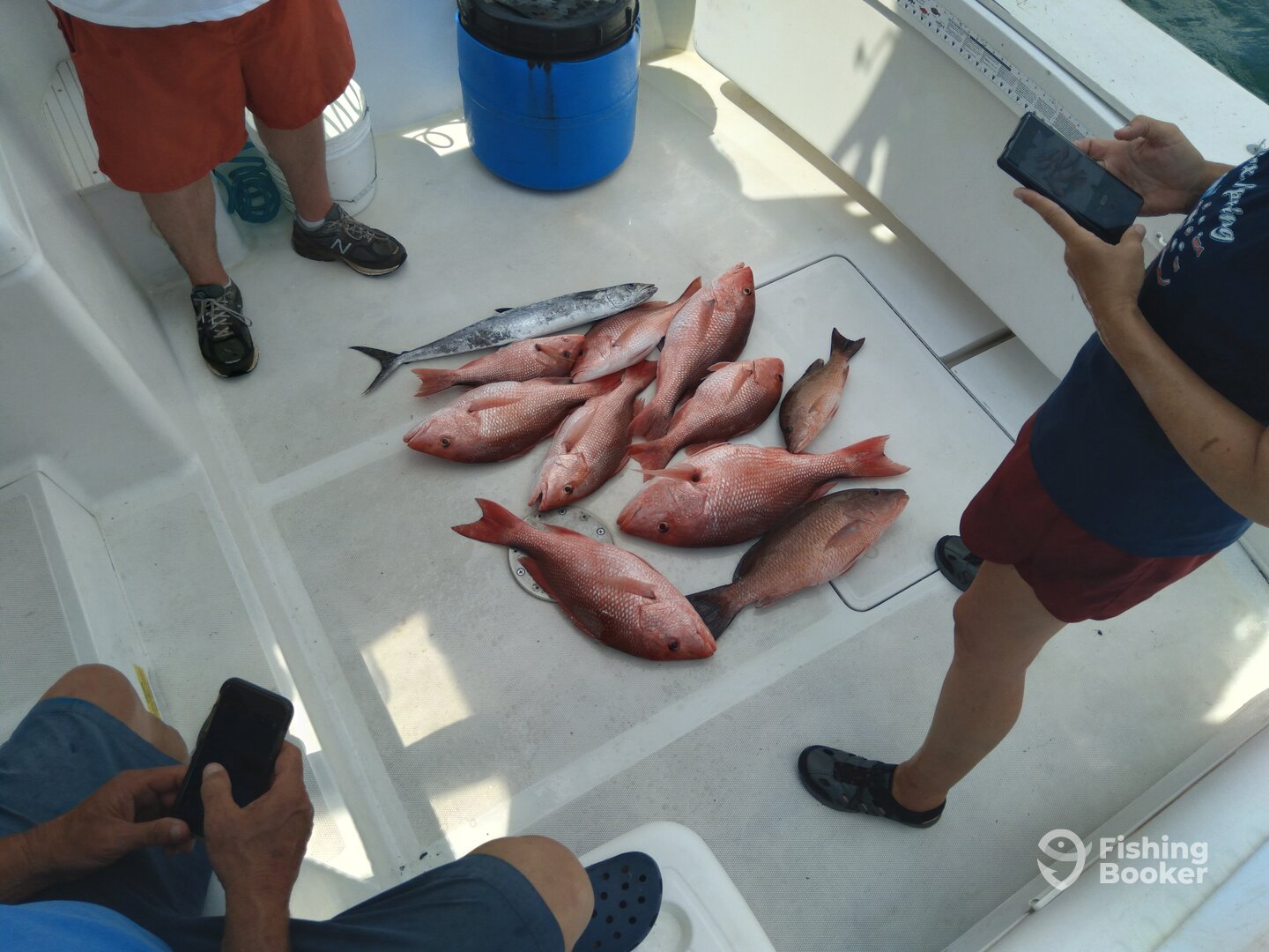 Niceville Report Photo 0