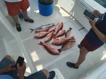 6 hr. Snapper trip