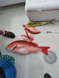 Niceville Report Photo 2