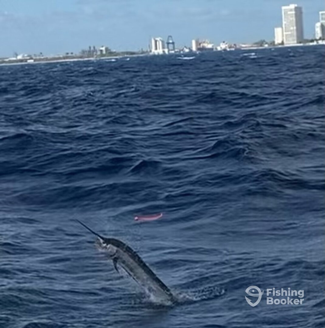 Fort Lauderdale Report Photo 0