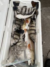Aransas Pass Report Photo 2