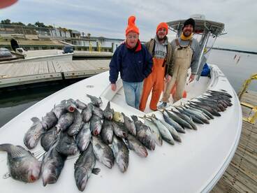 Sneads Ferry Report Photo 1