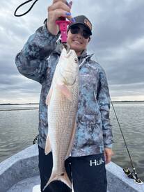 Crystal River Report Photo 1