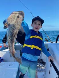 Grouper and Snapper Galore!