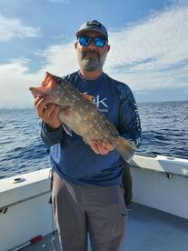 Dania Beach Report Photo 1