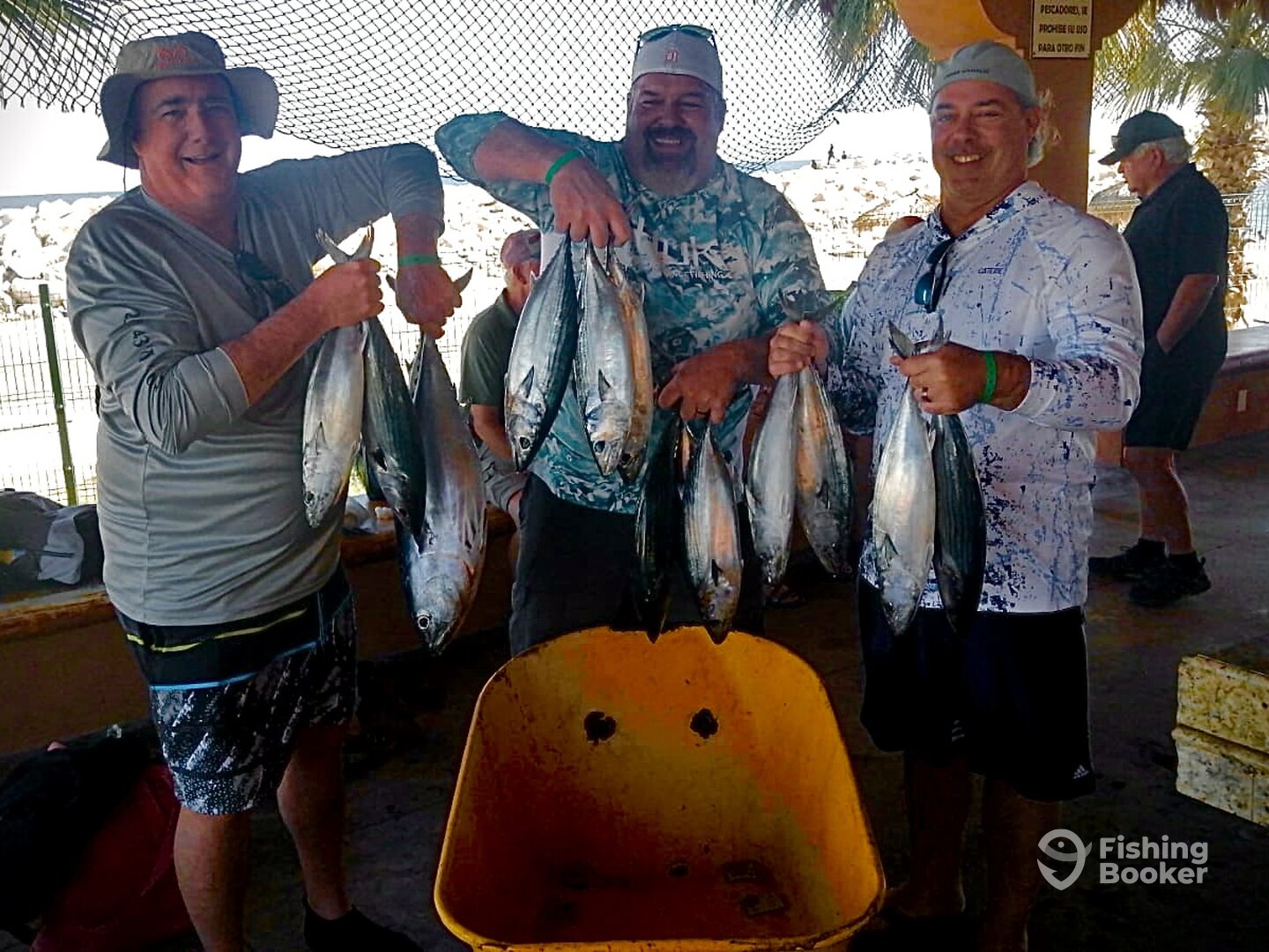 San Jose del Cabo Report Photo 0