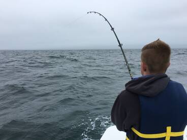 Stripers