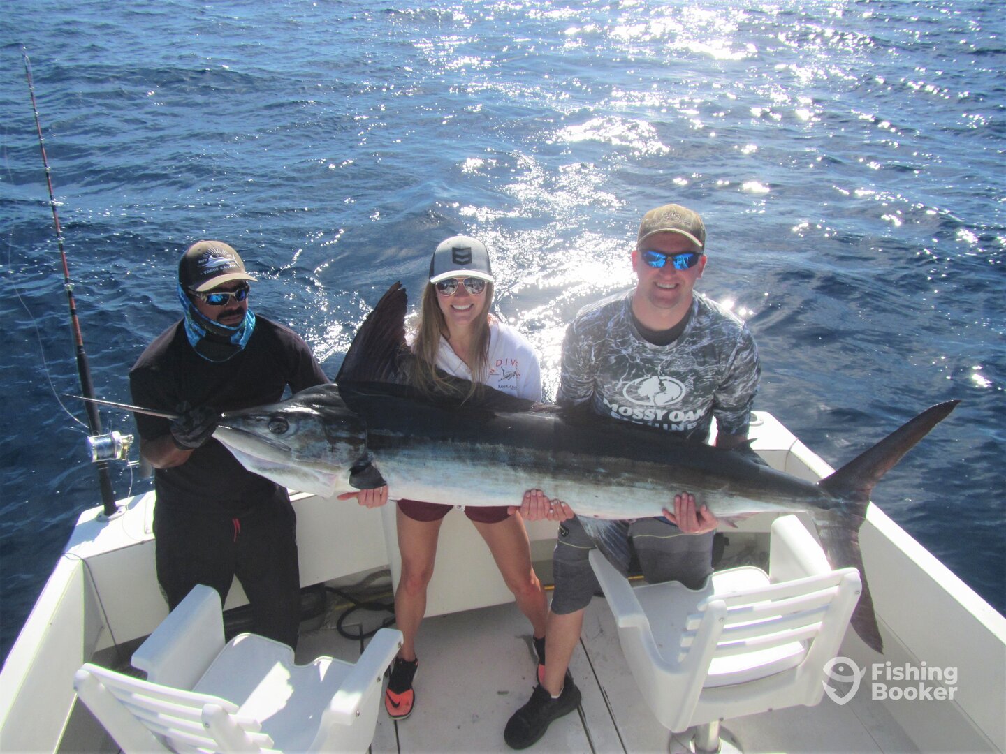 Cabo San Lucas Report Photo 0
