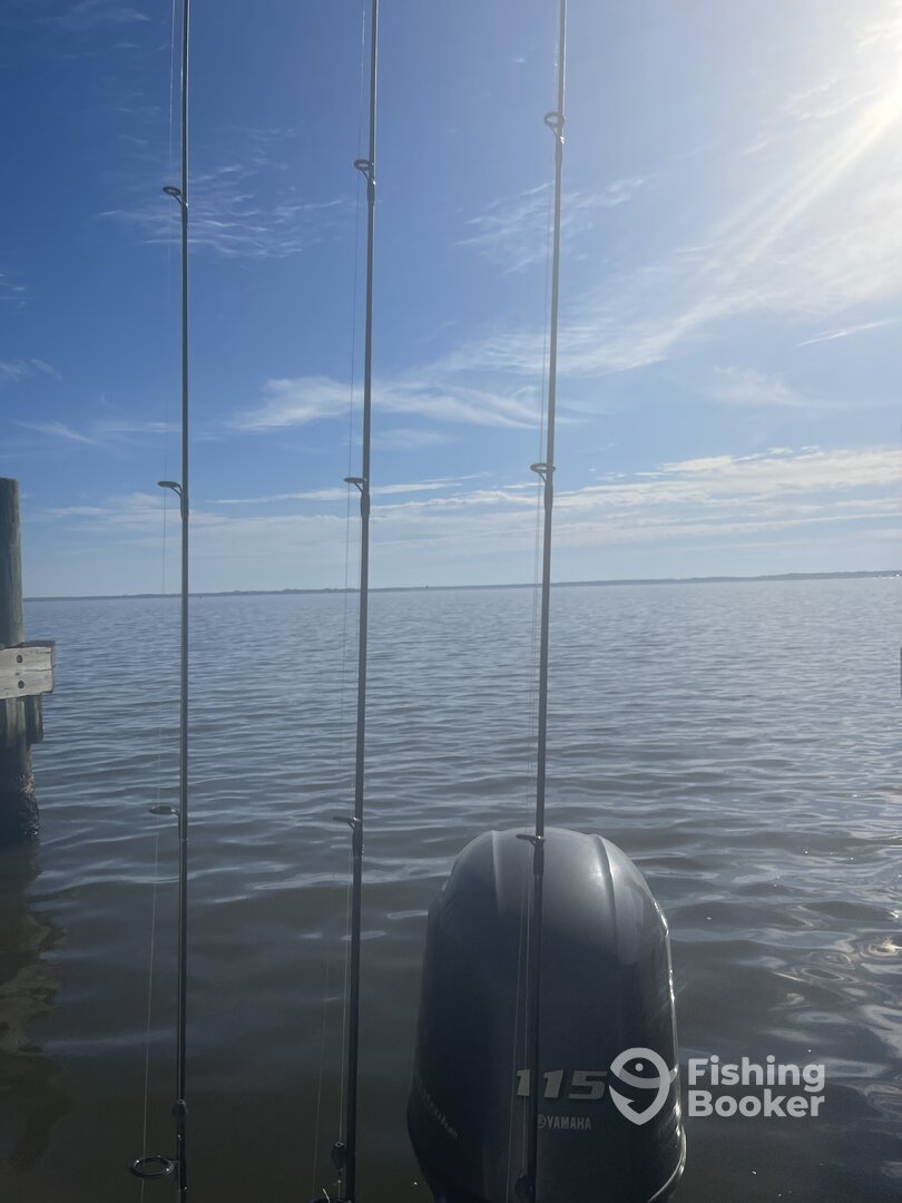 Santa Rosa Beach Report Photo 0