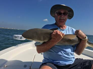 3 Generations of Magill